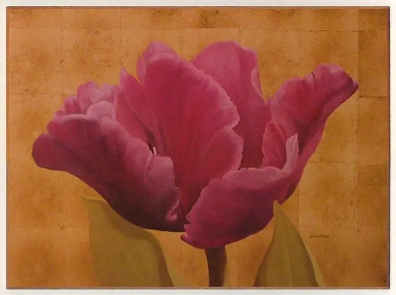 Obraz Rozłożony fioletowy tulipan 81x61 cm