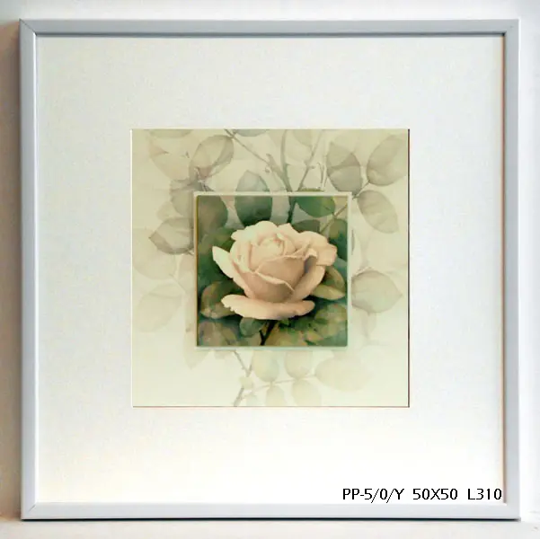 Obraz Różowy kwiat róży 50x50 cm