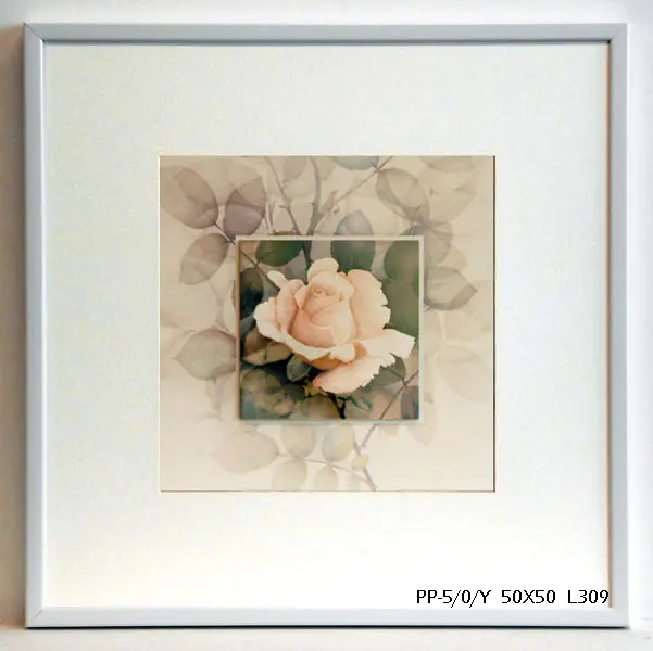 Obraz Różowy kwiat róży 50x50 cm