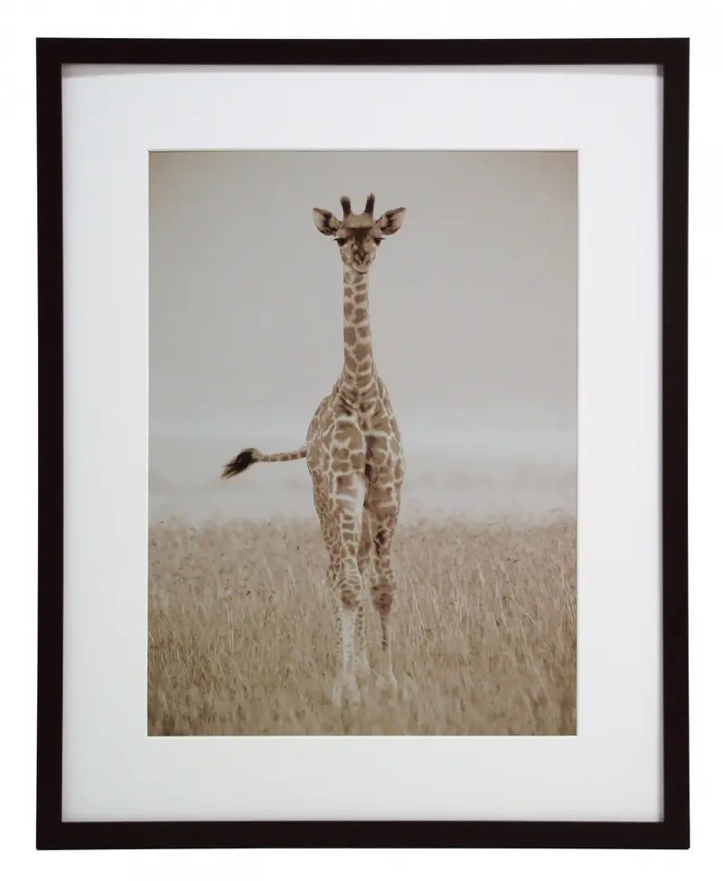 Obraz Safari, żyrafa, fotografia w sepii w ramie 40x50 cm