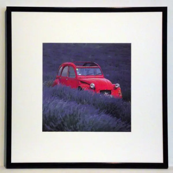 Obraz Samochód Citroen 2CV wśród lawendy 50x50 cm