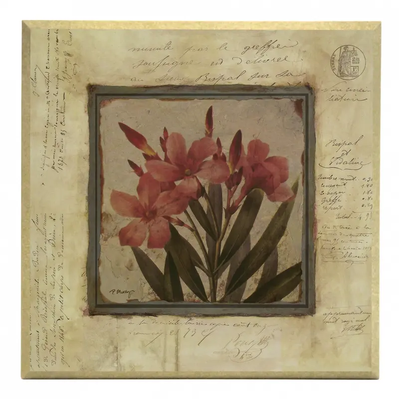 Obraz Srebrna kolekcja - kwiaty, oleander na płycie z pogrubieniem 31x31 cm