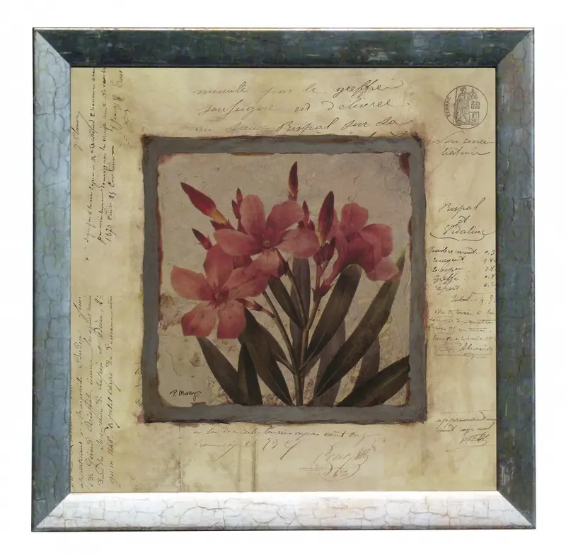 Obraz Srebrna kolekcja - kwiaty, oleander w ramie 30x30 cm