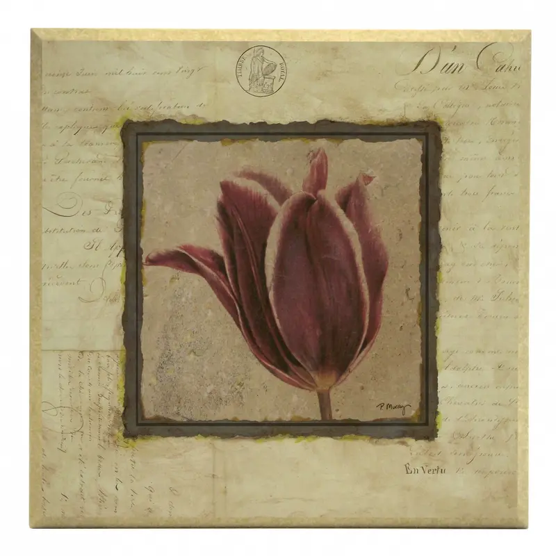 Obraz Srebrna kolekcja - kwiaty, tulipan na płycie z pogrubieniem 31x31 cm