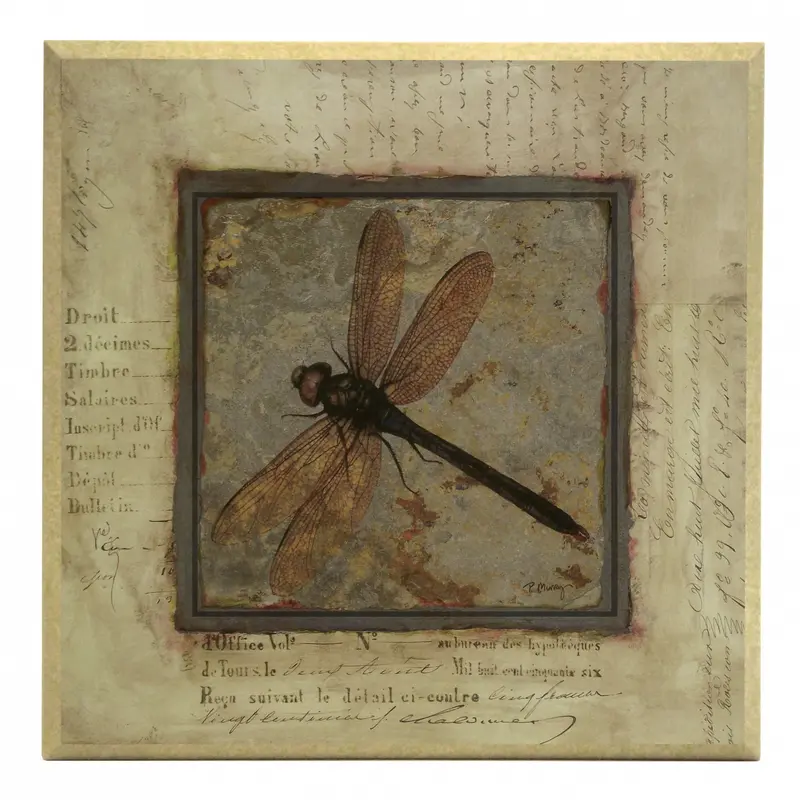 Obraz Srebrna kolekcja - owady, ważka na płycie z pogrubieniem 31x31 cm