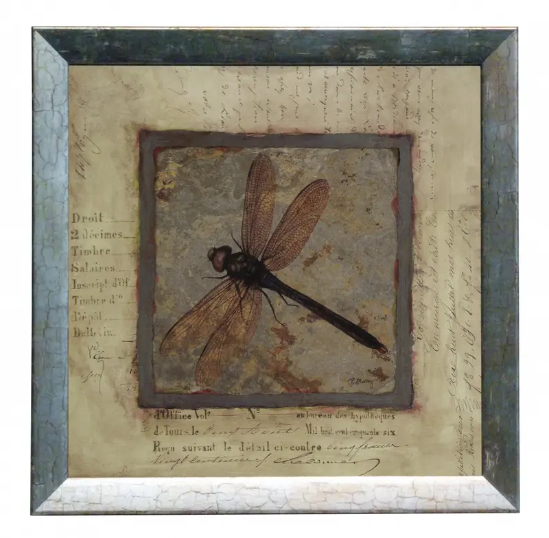 Obraz Srebrna kolekcja - owady, ważka w ramie 30x30 cm