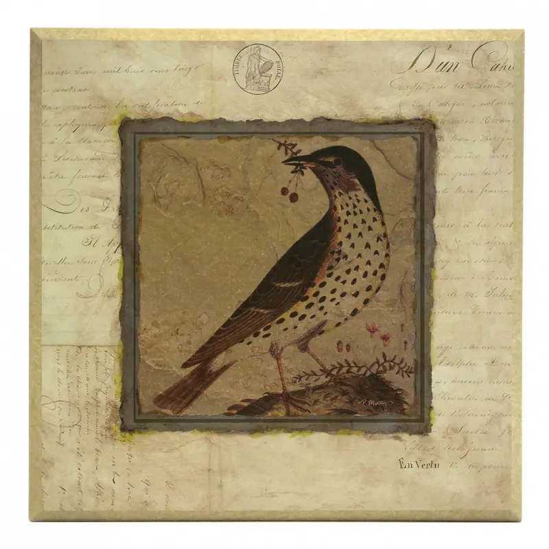 Obraz Srebrna kolekcja - Ptaki, Drozd na płycie z pogrubieniem 31x31 cm