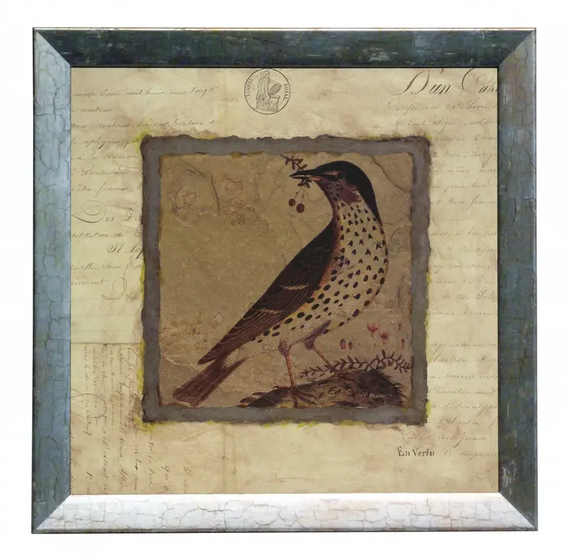Obraz Srebrna kolekcja - Ptaki, Drozd w ramie 30x30 cm