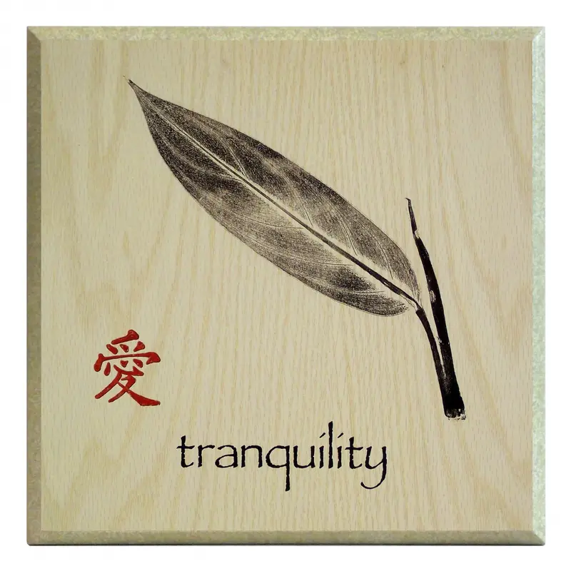 Obraz Szkic liścia z hasłem 'Tranquility', wyciszenie na płycie 25x25 cm