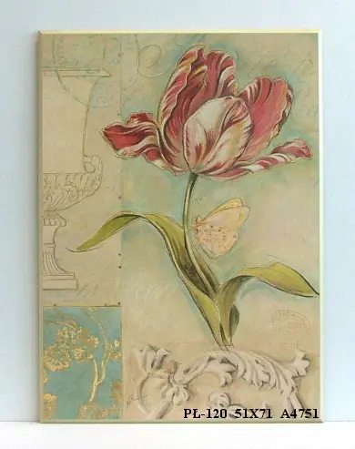 Obraz Szkic tulipana z antycznymi zdobieniami 51x71 cm