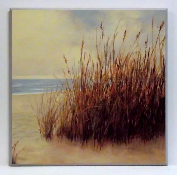 Obraz Trzciny na tle morza 51x51 cm