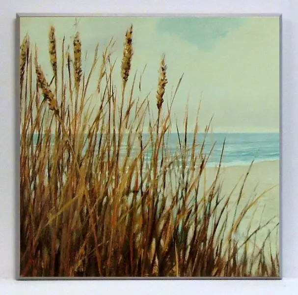 Obraz Trzciny na tle morza a5946/1 51x51 cm