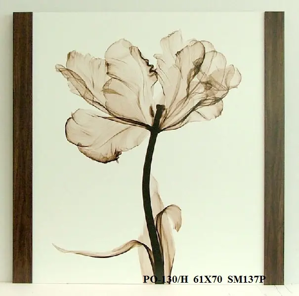 Obraz Tulipan, X-Ray 61x70 cm