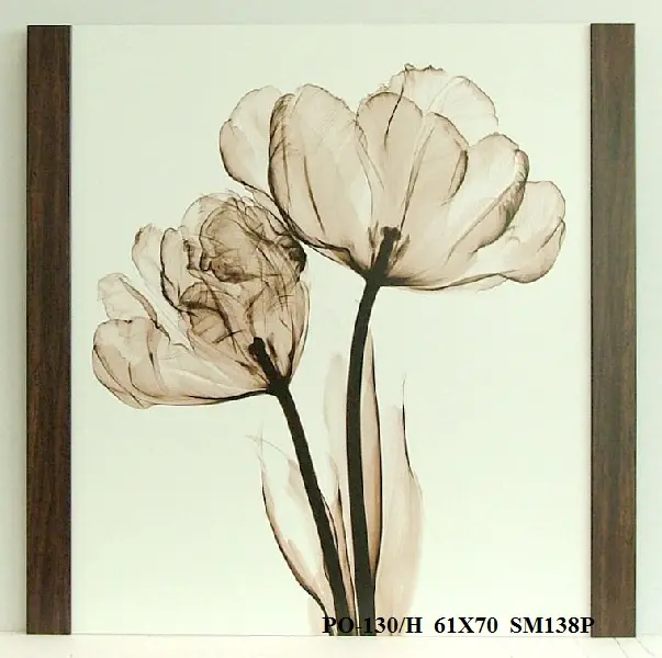 Obraz Tulipany, X-Ray 61x70 cm