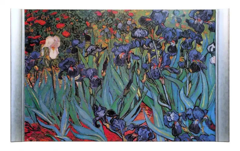 Obraz Vincent van Gogh, Irysy w półramie 100x70 cm