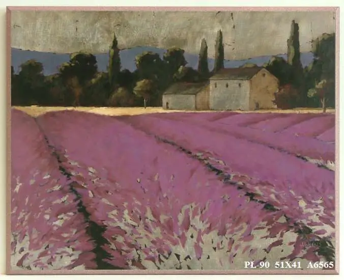 Obraz Widok z pól lawendowych 51x41 cm