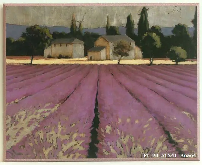 Obraz Widok z pól lawendowych 51x41 cm