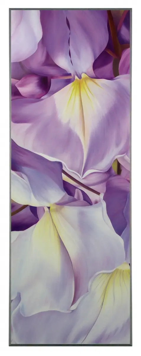 Obraz Wisteria, fioletowe kwiaty na płycie 36x101 cm