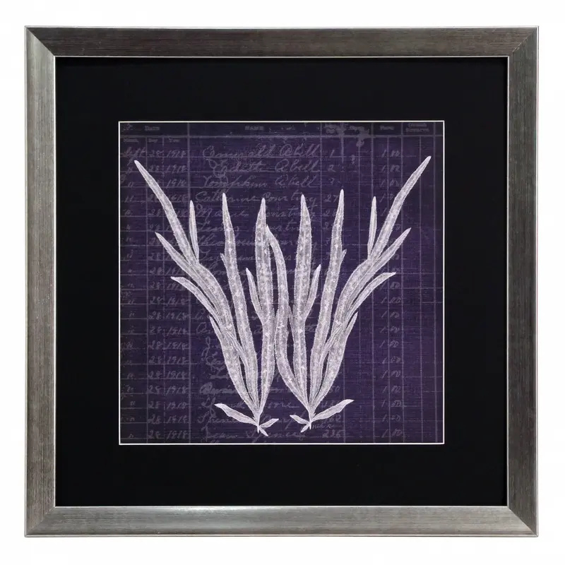 Obraz Wodorosty, koralowce I w ramie 40x40 cm