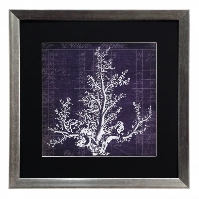 Obraz Wodorosty, koralowce II w ramie 40x40 cm
