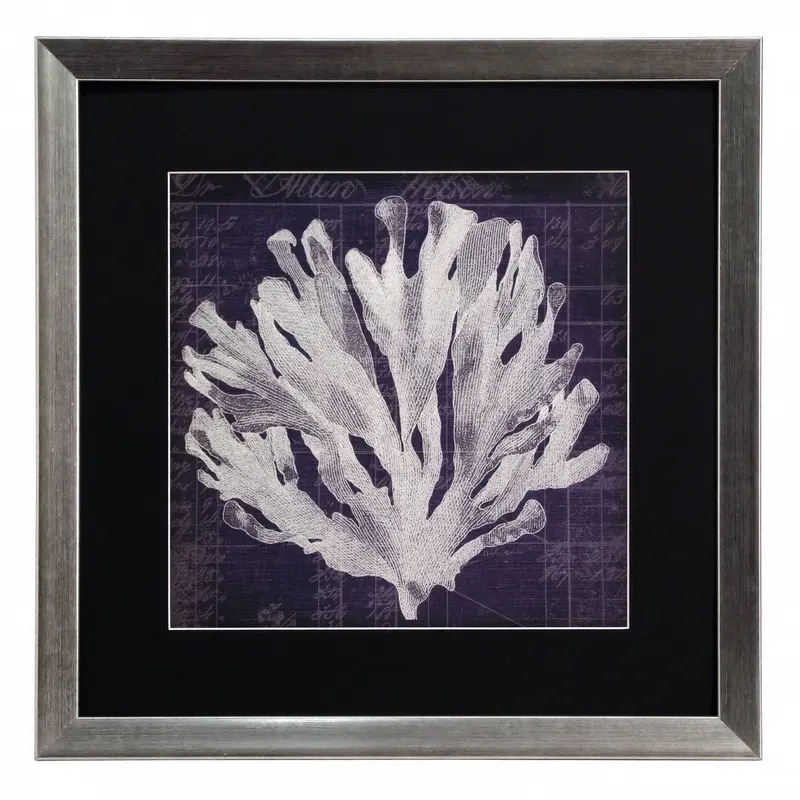 Obraz Wodorosty, koralowce III w ramie 40x40 cm