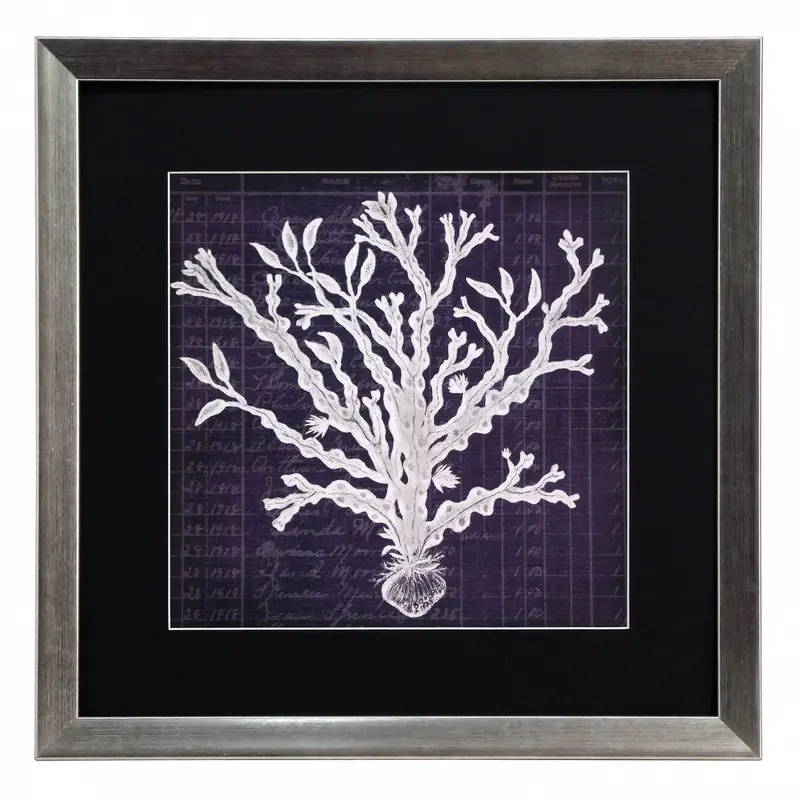 Obraz Wodorosty, koralowce IV w ramie 40x40 cm