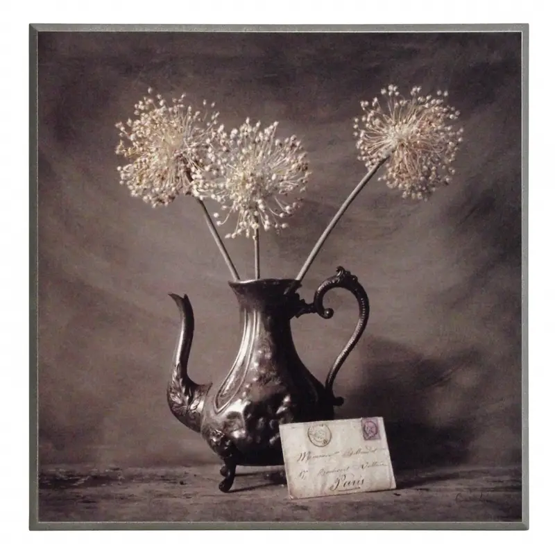 Obraz Zasuszone kwiaty czosnku w metalowym wazonie 31x31 cm