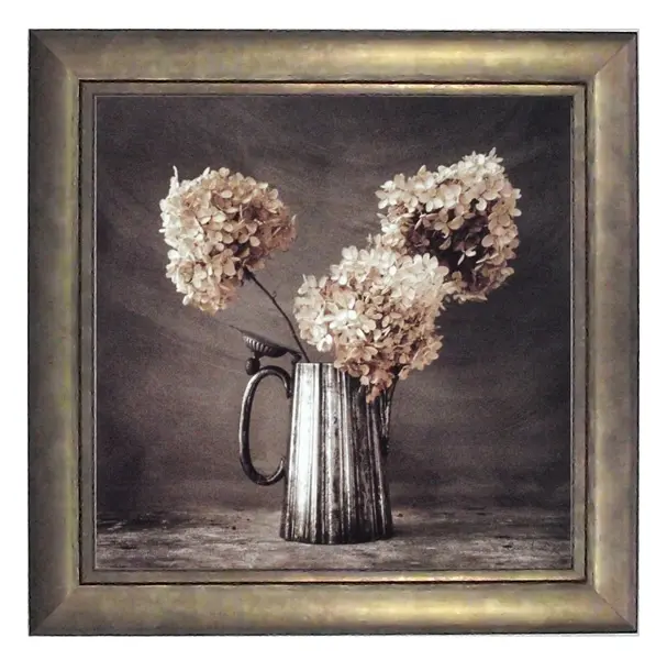 Obraz Zasuszone kwiaty hortensji w cynowym dzbanku 30x30 cm