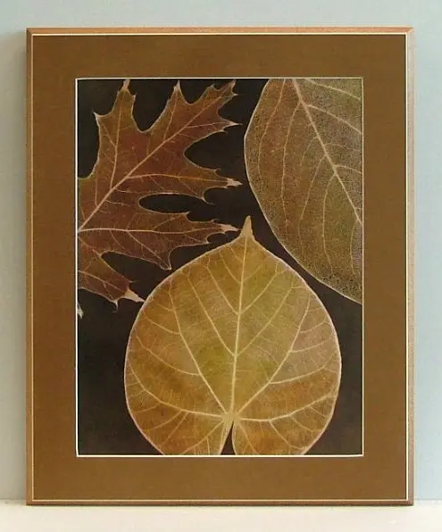 Obraz Zasuszone liście drzew z passepartout 43x55 cm