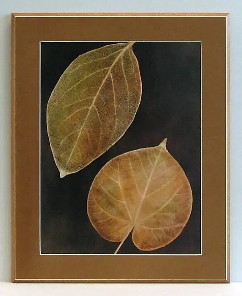 Obraz Zasuszone liście drzew z passepartout 43x55 cm