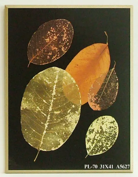 Obraz Zasuszone liście, kompozycja I na płycie 31x41 cm