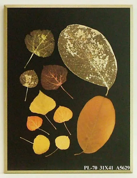 Obraz Zasuszone liście, kompozycja III na płycie 31x41 cm