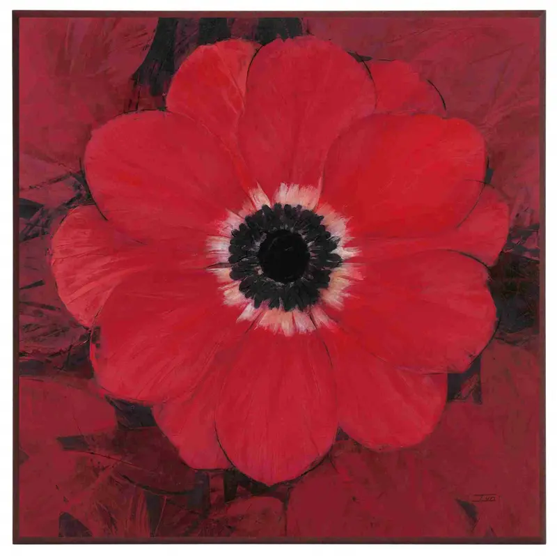 Obraz Zawilec Wieńcowy, kwiat 51x51cm