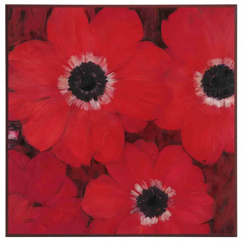Obraz Zawilec Wieńcowy, kwiaty 51x51cm