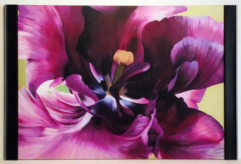 Obraz Zbliżenie na kwiat fioletowego tulipana 80x60 cm