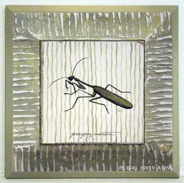 Obraz Zielone owady, modliszka na płycie z pogrubieniem 19x19 cm