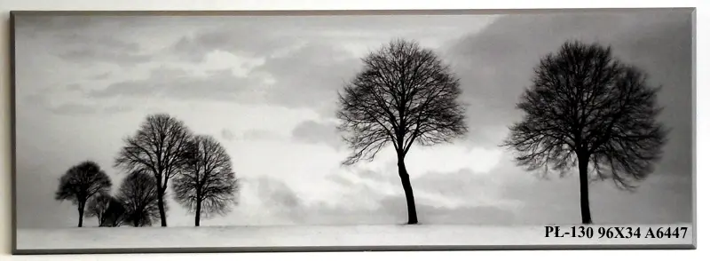 Obraz Zimowy pejzaż, drzewa 96x34 cm