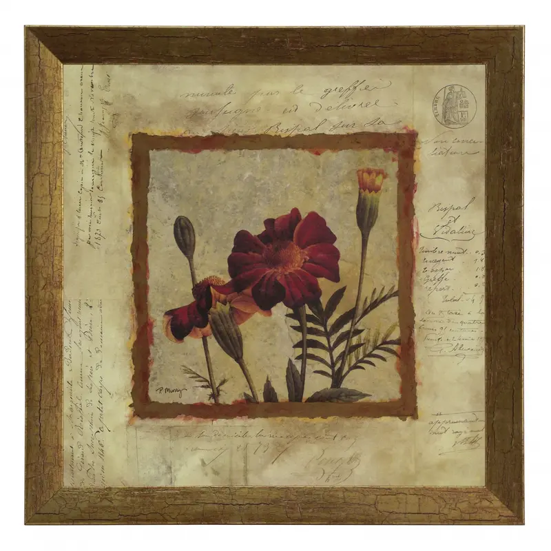 Obraz Złota kolekcja - kwiaty, aksamitka 30x30 cm