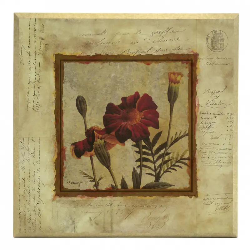 Obraz Złota kolekcja - kwiaty, aksamitka na płycie z pogrubieniem 31x31 cm