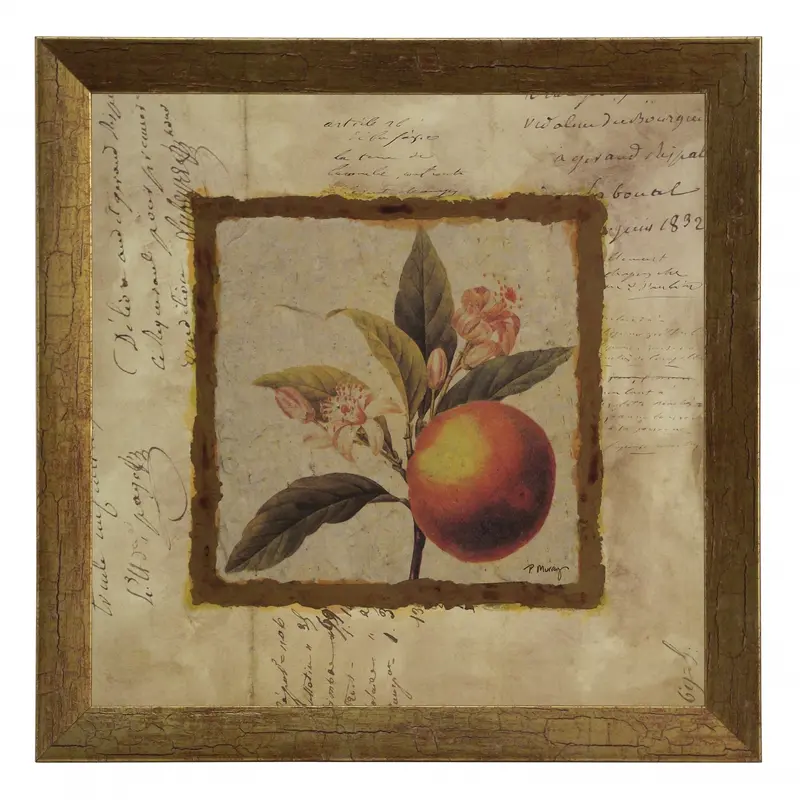Obraz Złota kolekcja - kwiaty i owoc pomarańczy w ramie 30x30 cm