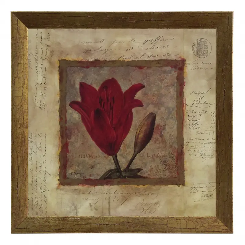 Obraz Złota kolekcja - kwiaty, lilia w ramie 30x30 cm