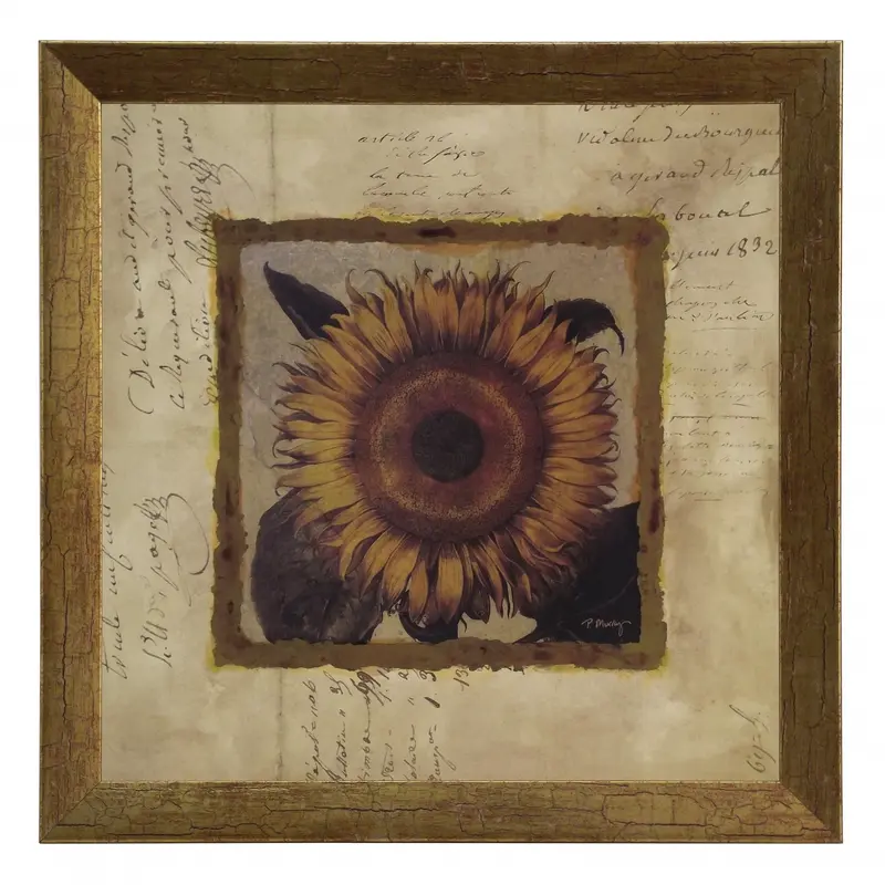 Obraz Złota kolekcja - kwiaty, słonecznik w ramie 30x30 cm