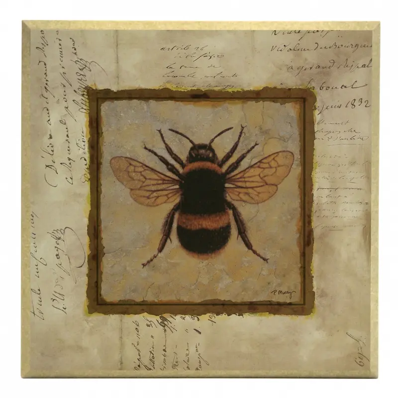 Obraz Złota kolekcja - owady, bąk na płycie z pogrubieniem 31x31 cm