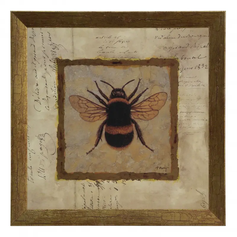 Obraz Złota kolekcja - owady, bąk w ramie 30x30 cm