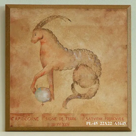 Obraz Znaki zodiaku, koziorożec 22x22 cm
