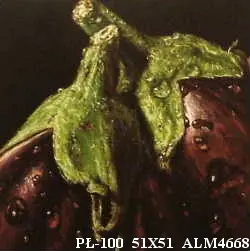 PŁ-100 51X51 ALM4668. OSTATNIA SZTUKA.