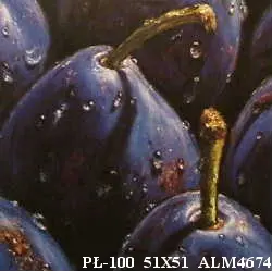 PŁ-100 51X51 ALM4674