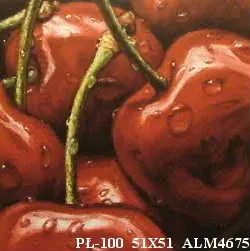 PŁ-100 51X51 ALM4675