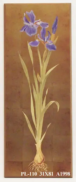 PŁ-110 31X81 A1998