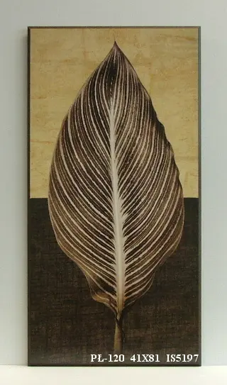 PŁ-120 41X81 IS5197